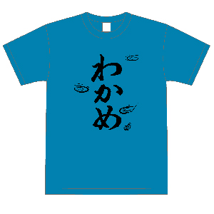 ts-001