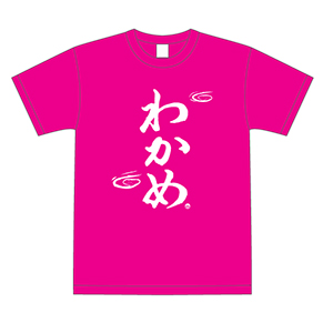 ts-003