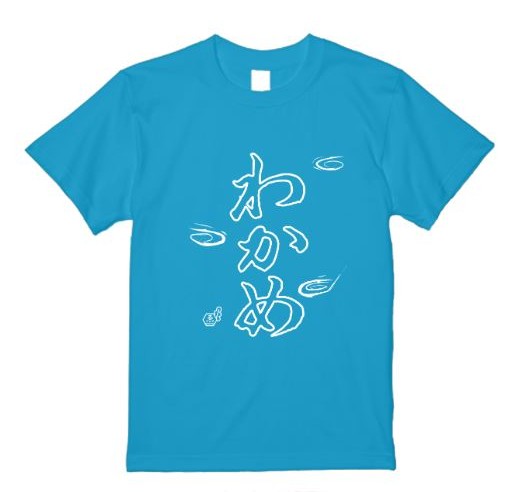 ts-001